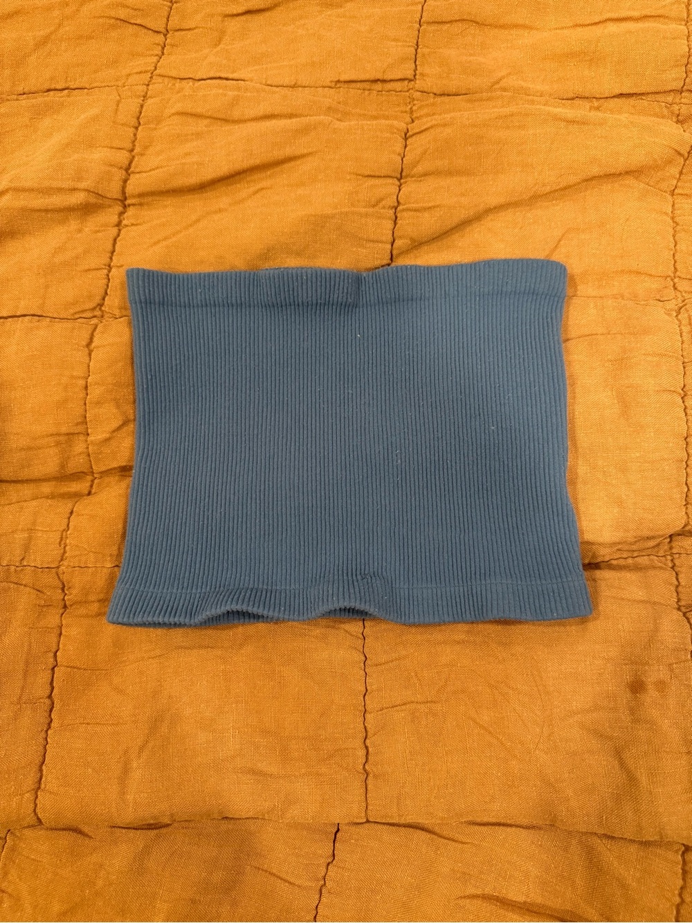Free People Cropped Tube Top